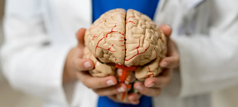 Beynin Yaşlanma Sürecinde Yeni Dönem: Gerileme Değil Bilinçli Optimizasyon