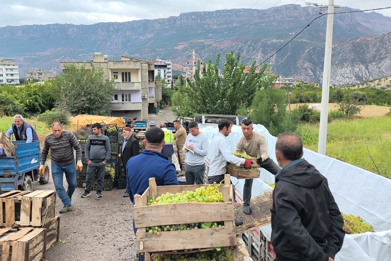 Siirtli Üzüm Üreticilerinden Düşük Fiyata Tepki: 350 Ton Ürün Sirke Olacak